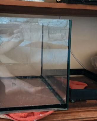 Acquario 