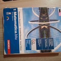 Libro 1ª superiore "matematica.blu"