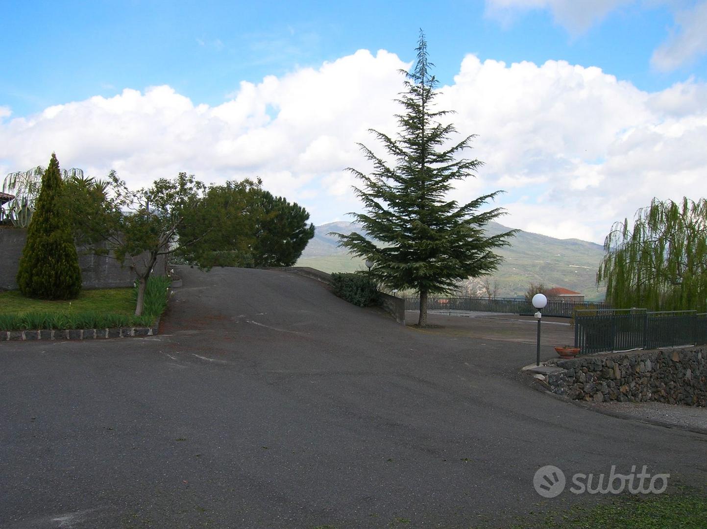 Terreno agricolo con villa, uliveto e vigneto - Vista 3