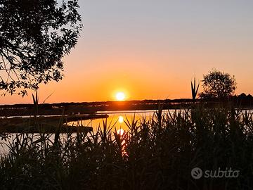 Terreno Stagno Girasole/Tortolì