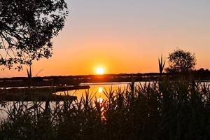 Terreno Stagno Girasole/Tortolì