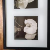 quadretto e stampa su tela