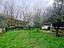 Immagine 16