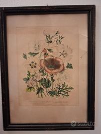 Quadri antichi con fiori