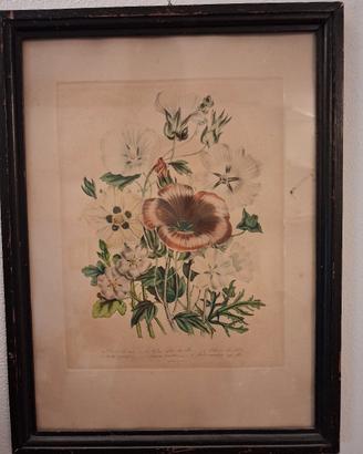 Quadri antichi con fiori