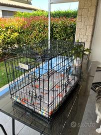 Kennel per trasporto cucciolo