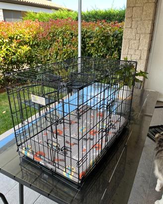 Kennel per trasporto cucciolo