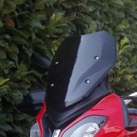 cupolino BMW S1000xr