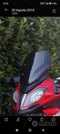 cupolino BMW S1000xr