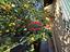 Immagine 25