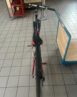 Bicicletta
