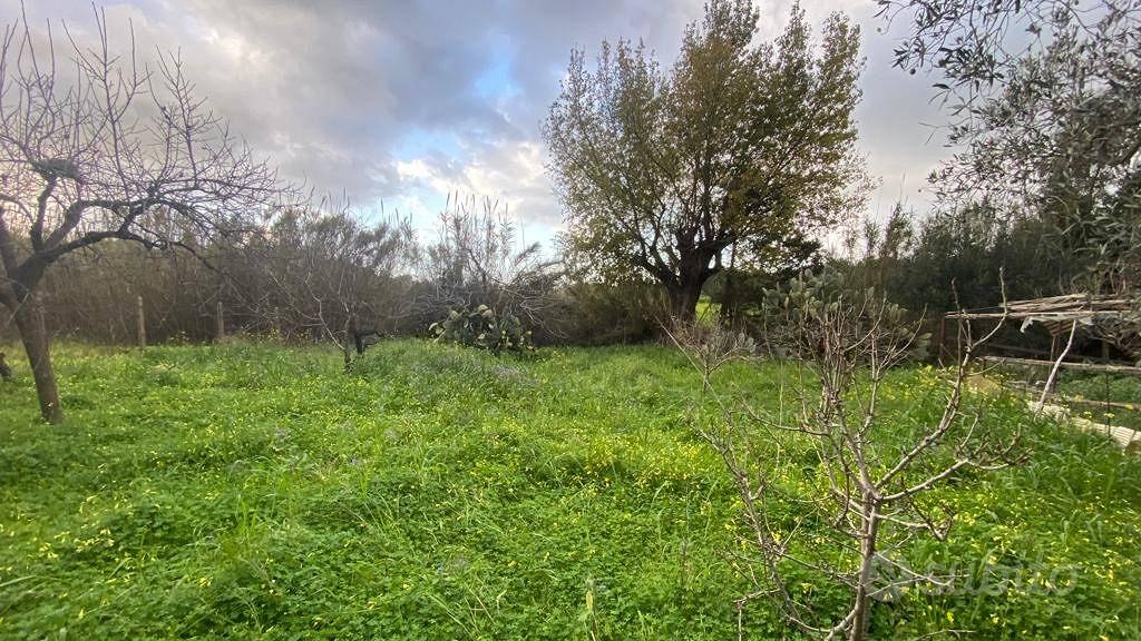 Terreno di 1280 m² a Partinico - Vista 5
