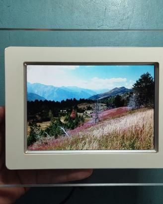 Cornice foto digitale Philips 7FF1