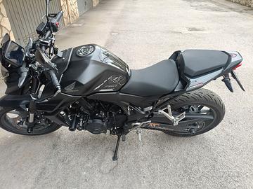 Hornet  leggi bene 