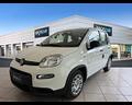fiat-panda-serie-7-1-0-70cv-hybridpanda
