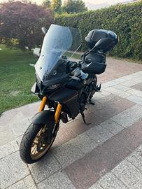 Tracer 9 gt