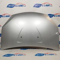 Cofano Dacia Sandero 2010 grigio argento ecoAC398