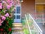 Immagine 26