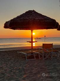 Francavilla al mare confine Pescara appartamento