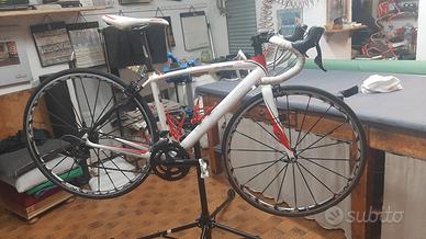  Specialized Secteur tg.S