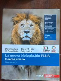 Libri usati