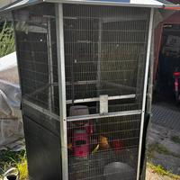 Voliera gabbia uccelli pappagalli