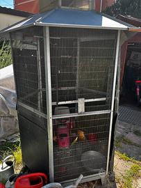 Voliera gabbia uccelli pappagalli