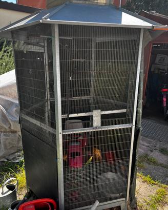 Voliera gabbia uccelli pappagalli