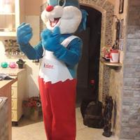 COSTUME CONIGLIO
