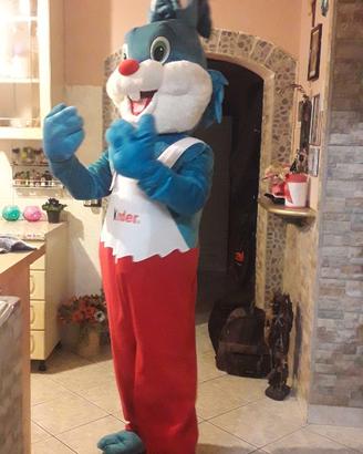 COSTUME CONIGLIO