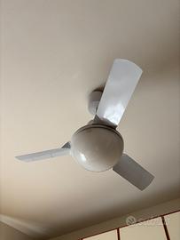 PALE VORTICE