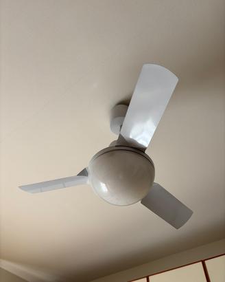 PALE VORTICE