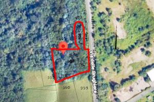 Terreno boschivo 6.000 m² Magnago