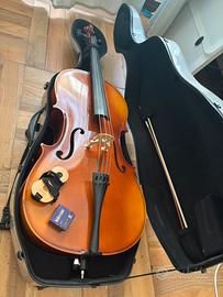 Violoncello 4/4