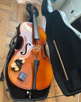 Violoncello 4/4