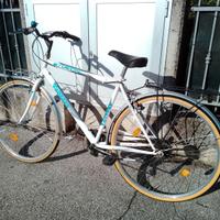 Bicicletta City Bike