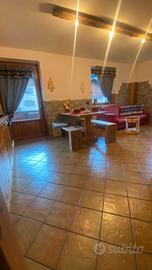 APPARTAMENTO con SAUNA a legna in giardino