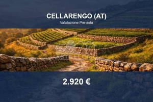 Immobile in asta di 5110 m² a Cellarengo