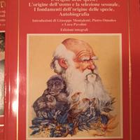 Libri letteratura