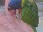 Immagine 2