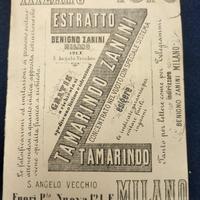 Cartolina pubblicitaria 1878 Tamarindo Zanini - Mi