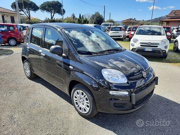 FIAT Pandina 1.0 FireFly 65cv S&S 6m Hybrid Icon