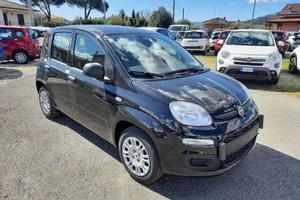 FIAT Pandina 1.0 FireFly 65cv S&S 6m Hybrid Icon