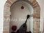 Immagine 17