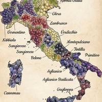 Manager Operativo Ristorazione, Food e sviluppo