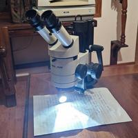 Stereo microscopio Wild M3Z 6,5 - 40 X + obb 2X