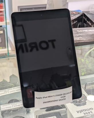 APPLE iPad Mini 5 256GB - PROMO USATO