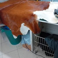pelle di mucca