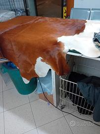 pelle di mucca