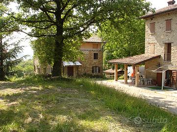 Podere in collina